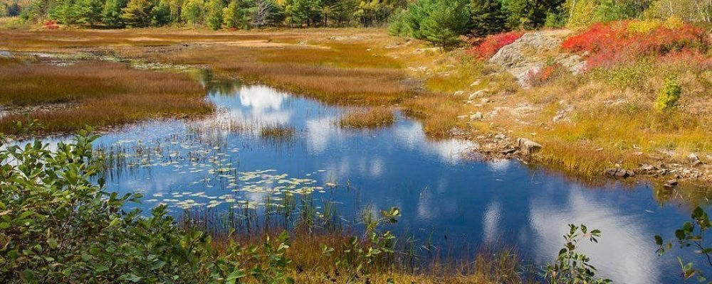 Сохранять дикую природу