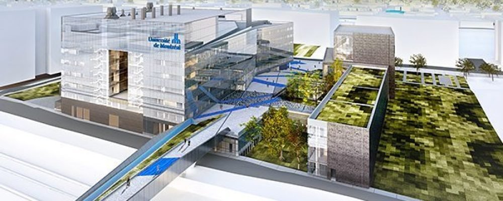 Мы строили, строили…