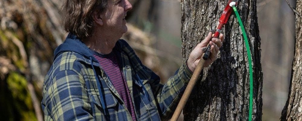 ПРОИЗВОДСТВО СИРОПА ПОД УГРОЗОЙ.