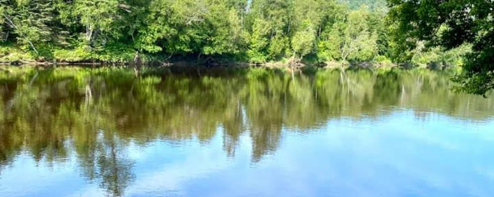 Мы поселимся у реки