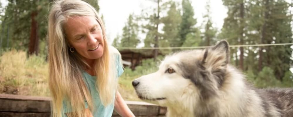 «Поздравляем, вы — собака!»