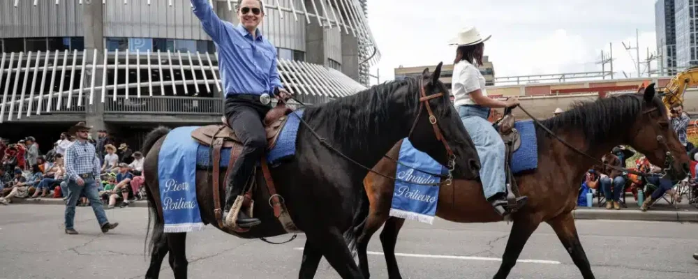 ДЕЖАВЮ ПУАЛЬЕВРА.