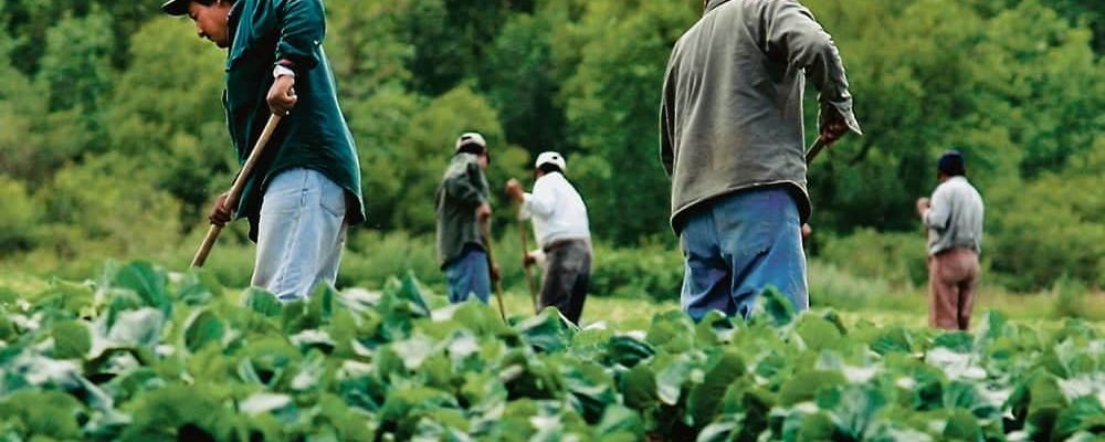 ИНОСТРАННЫЕ РАБОЧИЕ ПРОТИ ПРАВИТЕЛЬСТВА КАНАДЫ.