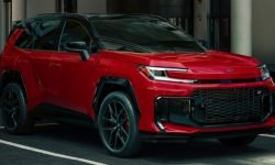 НАЙПОПУЛЯРНІШІ  В КРАДІЇВ.