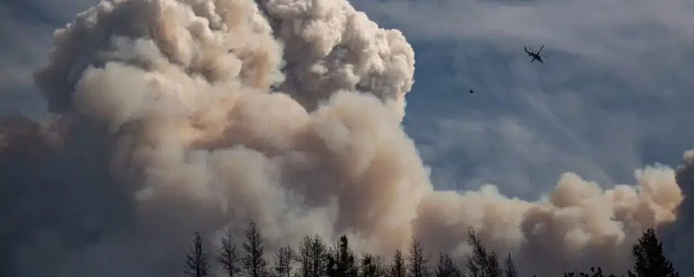 ЛЕСНЫЕ ПОЖАРЫ.