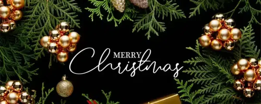 С РОЖДЕСТВОМ!