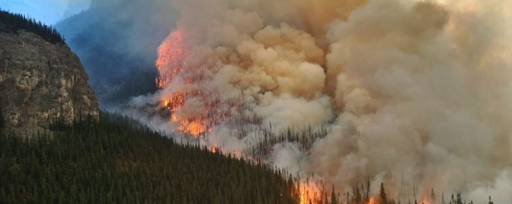 Рекордні пожежі.