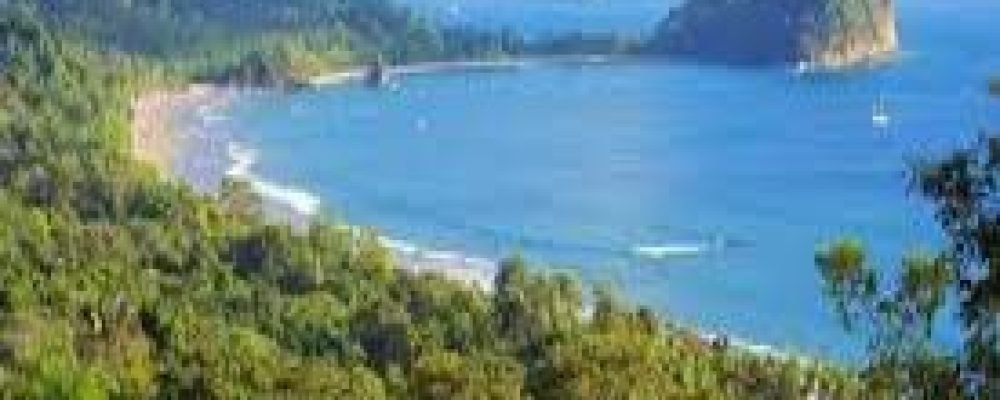 Коста-Рика — страна дикой природы