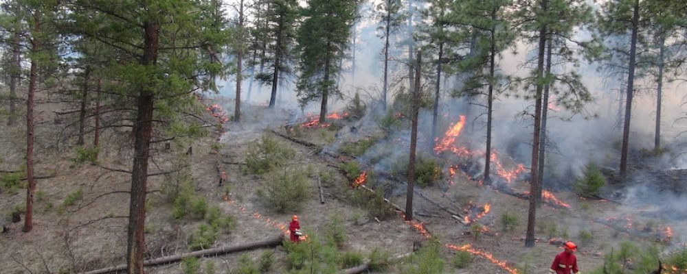 ЕВАКУАЦІЯ В БРИТАНСЬКІЙ КОЛУМБІЇ.