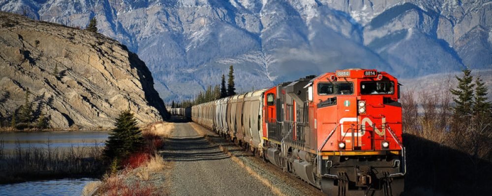 Полку строгих правил прибыло.