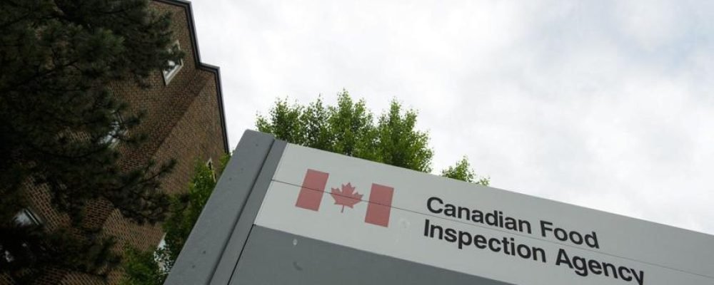 ВЫПЕЧКА С САЛЬМОНЕЛЛОЙ.