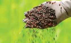 НОВІ "ДУЖЕ СУВОРІ МИТА" ВІД ТРАМПА.