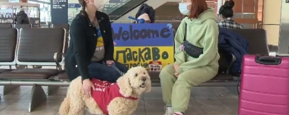 Тёплый приём.