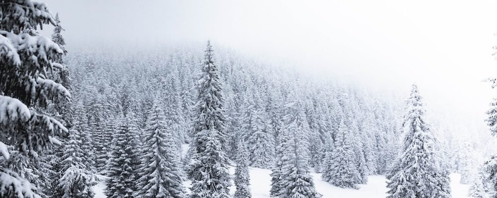 Чудом спасся.