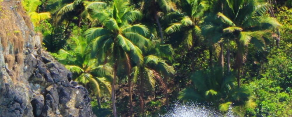 Manuel Antonio Beach Costa Rica