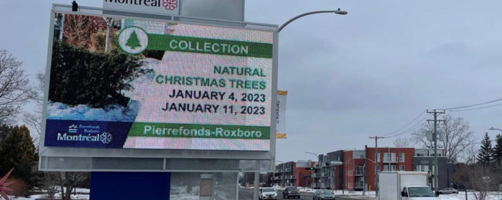 Сохранить двуязычие.