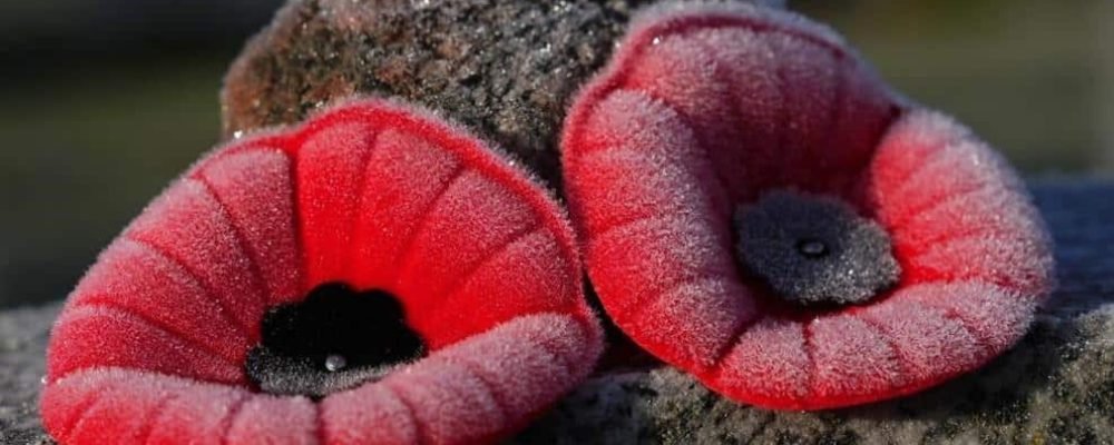 ДЕНЬ ВЕТЕРАНОВ И НОВЫЕ РЕАЛИИ.