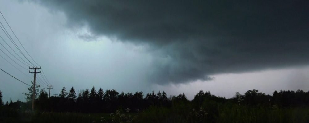 Ідея міста-губки.