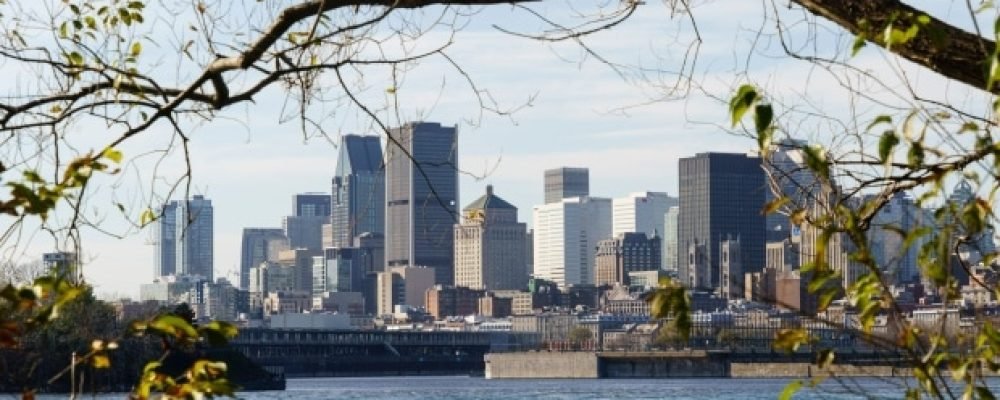 Зелёное Рождество