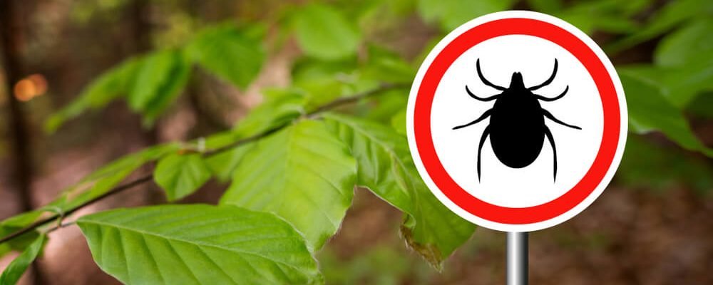 Асцярожна, кляшчы!