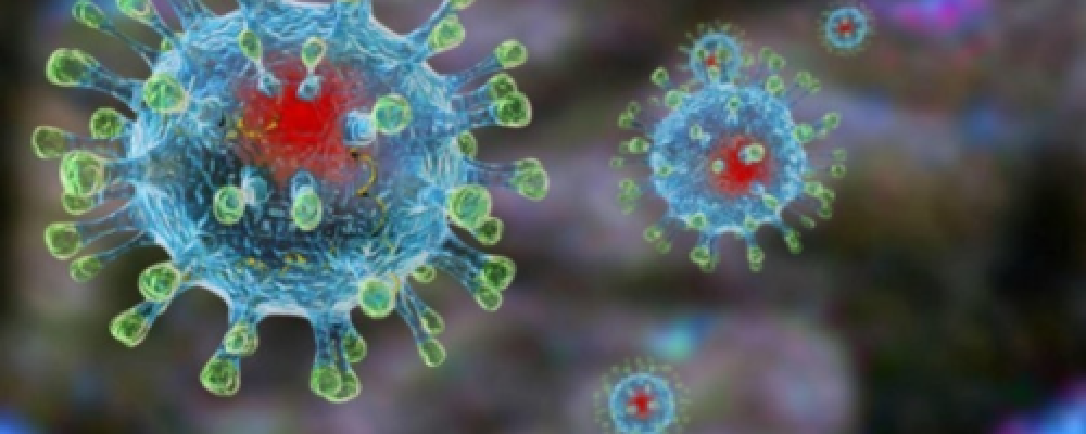 Учёные объясняют. Выпуск 2.