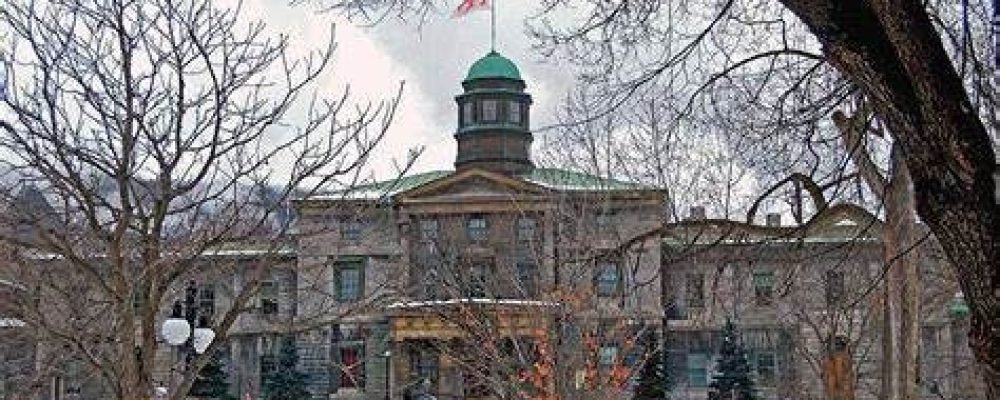 Лего уничтожает университеты.