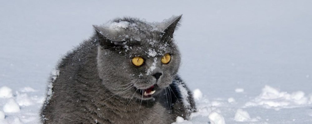 Будет холодно.