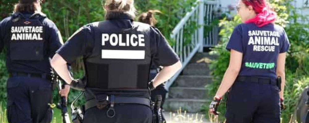 Мишка заблудился.