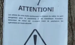 СУЧАСНІ РОБІН ГУДИ.