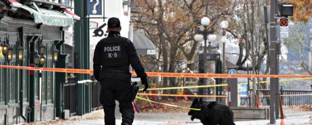 «Ночь ужаса»