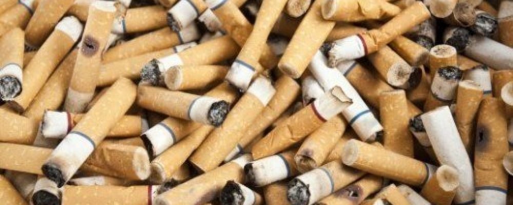 Сезон сбора… окурков