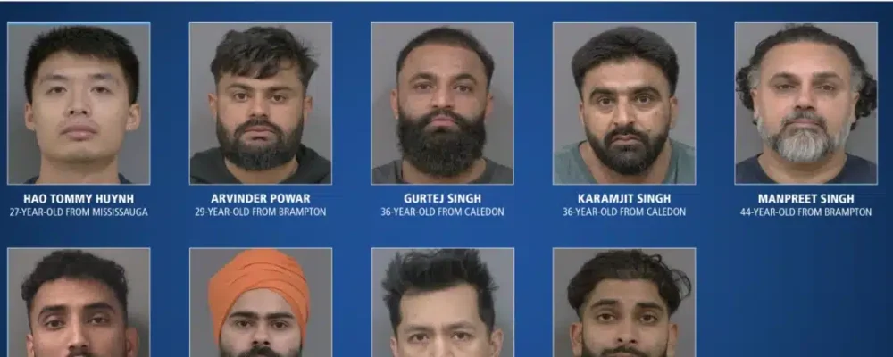 КРИМИНАЛЬНУЮ СЕТЬ ЛИКВИДИРОВАЛИ.