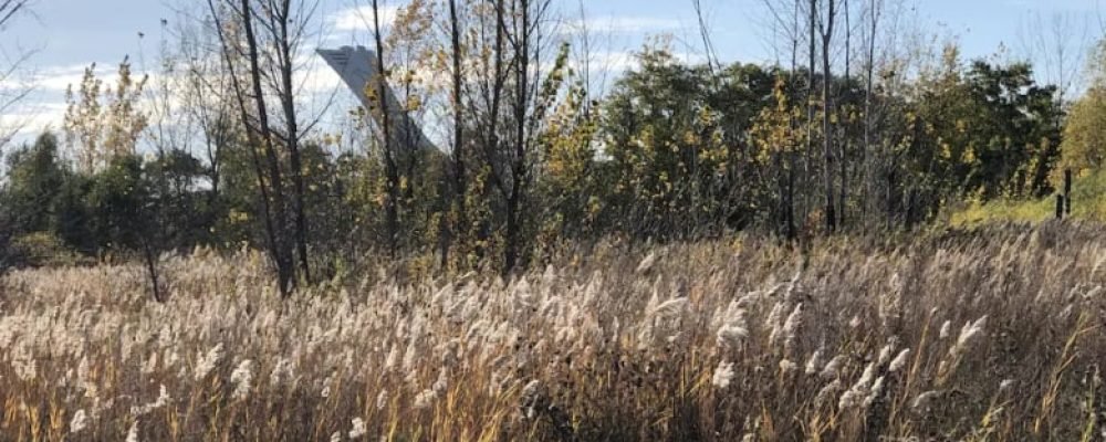 Сохранить природу.