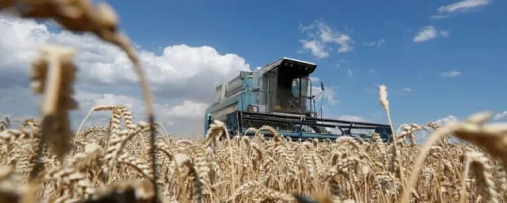 Канада присоединилась.