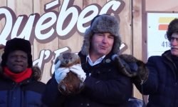 ДЕНЬ БАБАКА.