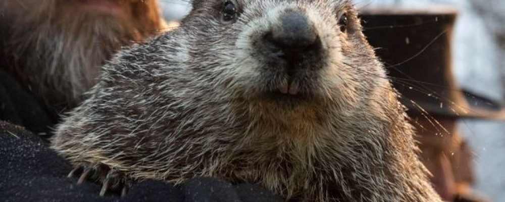 Весну заказывали?