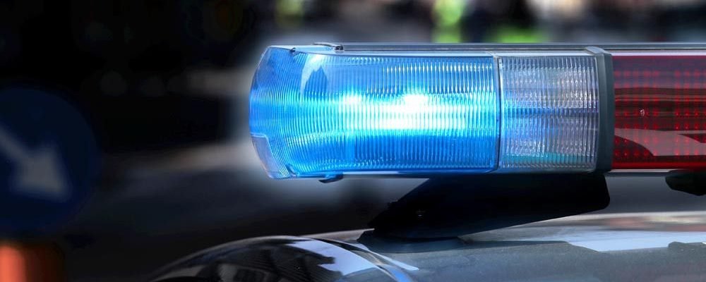 Штрафы, рестораны, прививки.