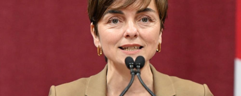 Защищаем язык, вредим экономике.