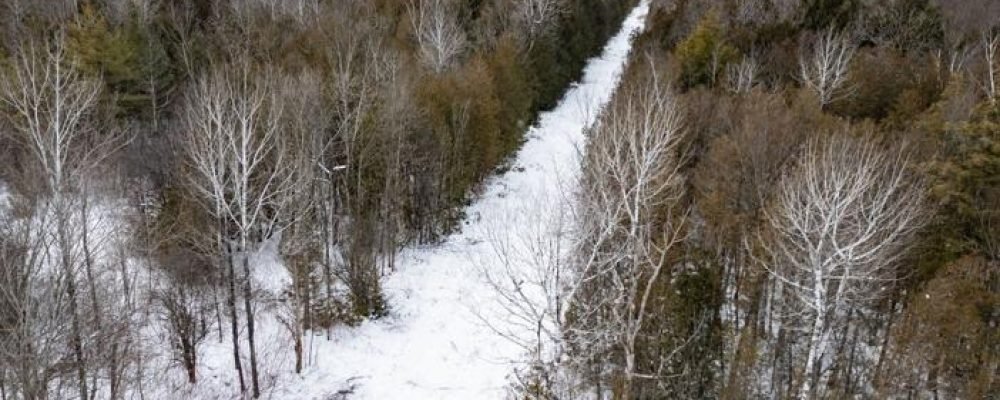 ТІКАЮТЬ ДО КАНАДИ.