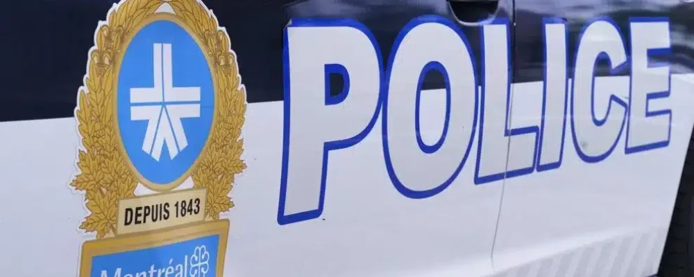 ПРЕСТУПНИКИ ЗАДЕРЖАНЫ.