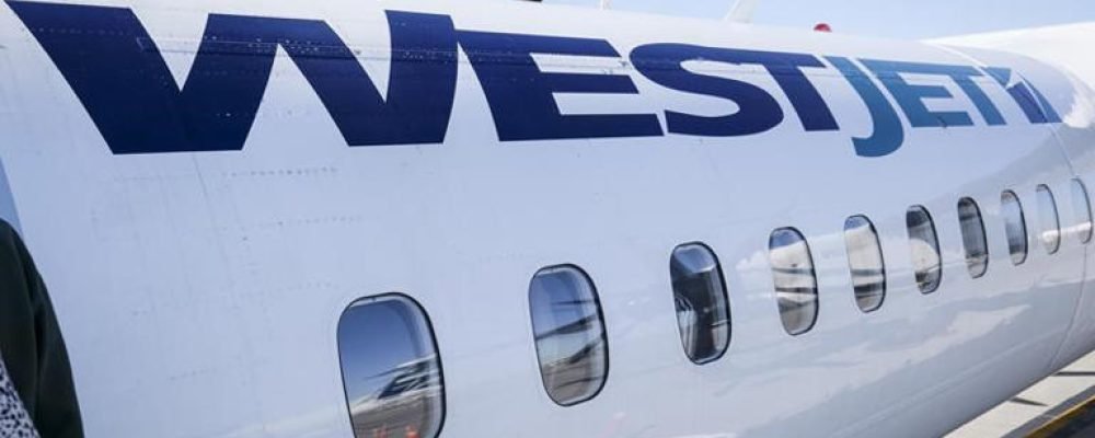 А олени лучше.