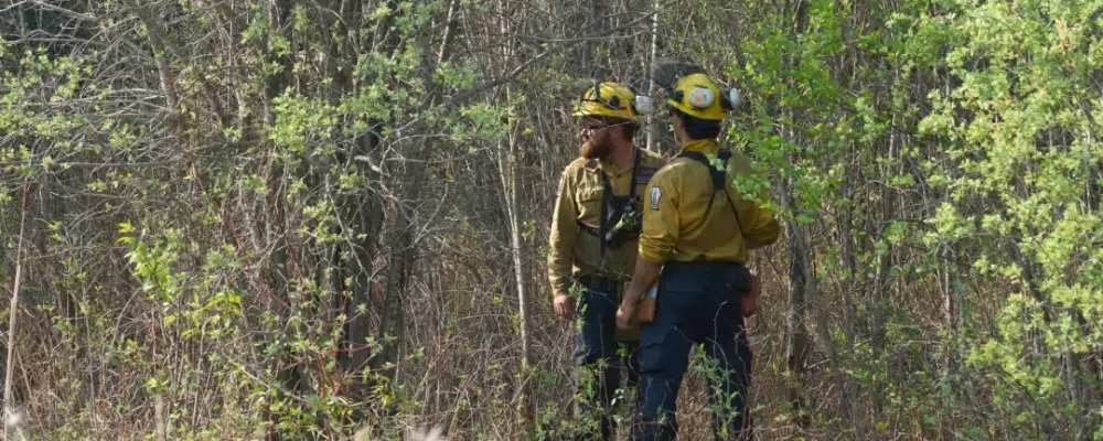 СЕЗОН ЛІСОВИХ ПОЖЕЖ.