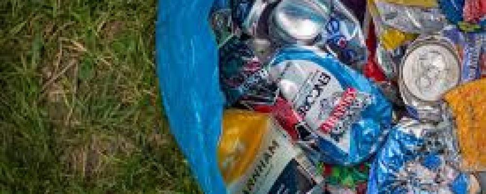 Чистый город — чистая планета