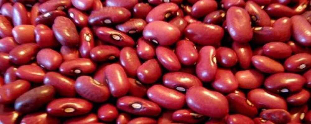 О пользе фасоли