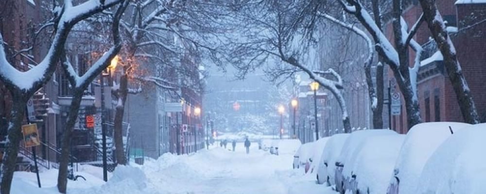 Готуймо сані влітку.