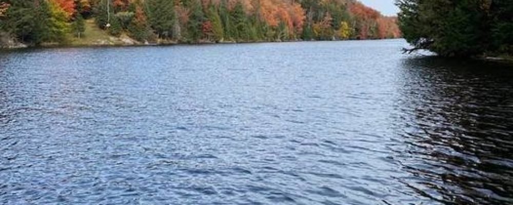 Неразгаданная тишь