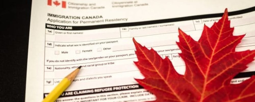 Новая программа для украинцев ЭТО НЕ БЕЖЕНСТВО!