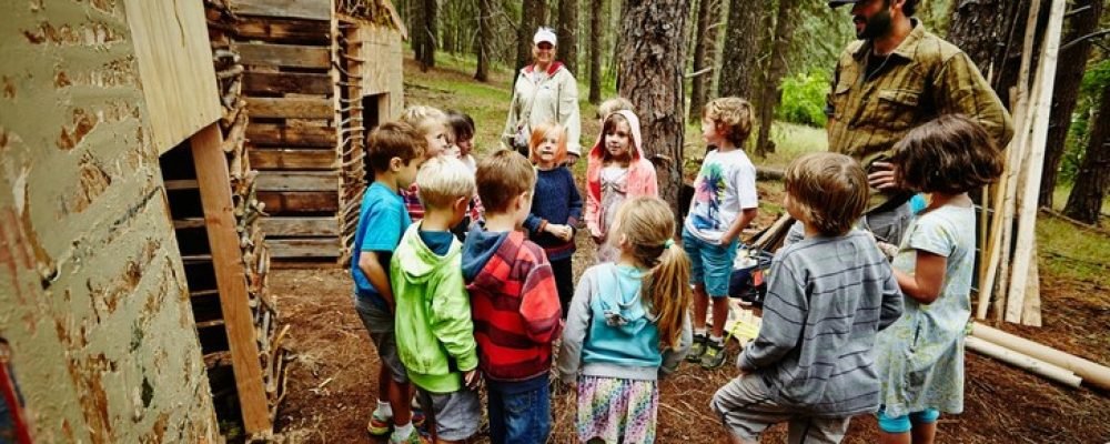 КТО НЕСЁТ ОТВЕТСТВЕННОСТЬ ЗА ПРИЧИНЕНИЕ ВРЕДА РЕБЁНКОМ В ДЕТСКОМ ЛАГЕРЕ