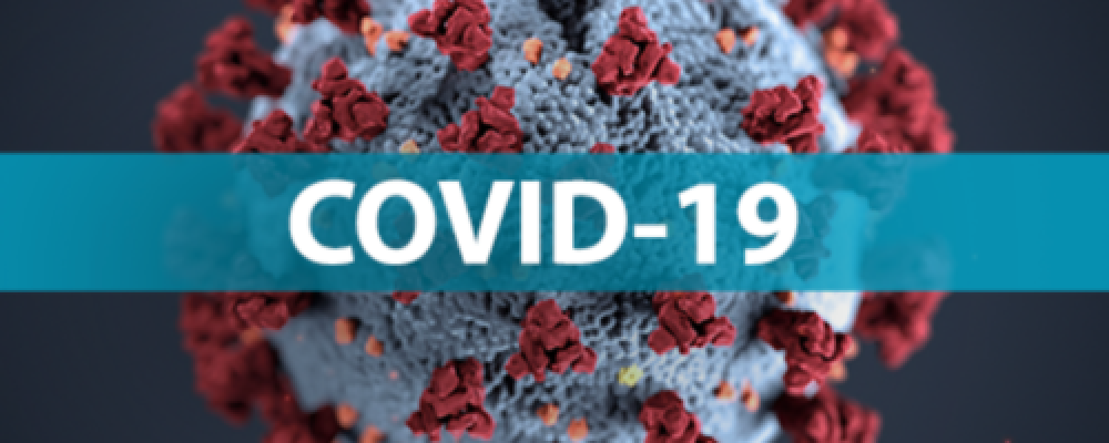 Марин Гузун. Компенсационные программы.