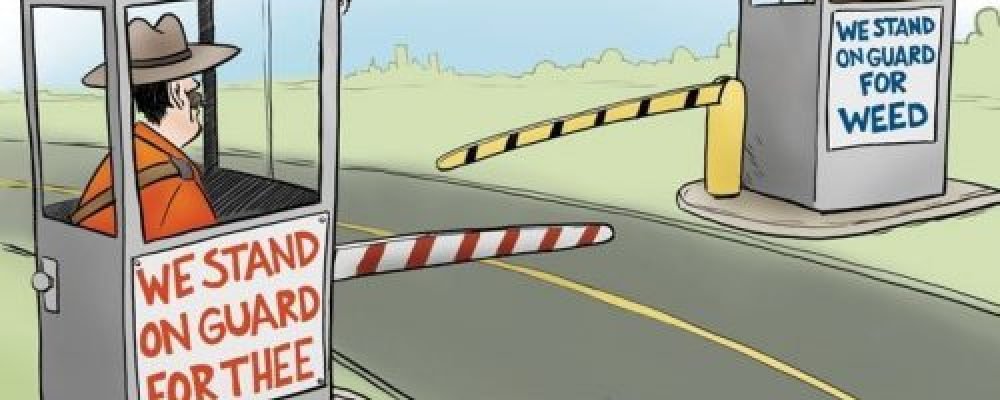 «Вы в системе до конца жизни»